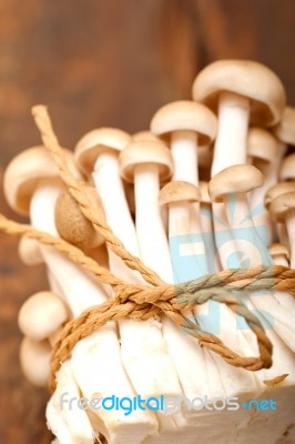Fresh Wild Mushrooms Stock Photo