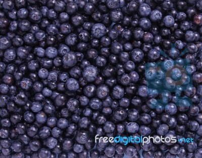 Freshly Blueberries Stock Photo