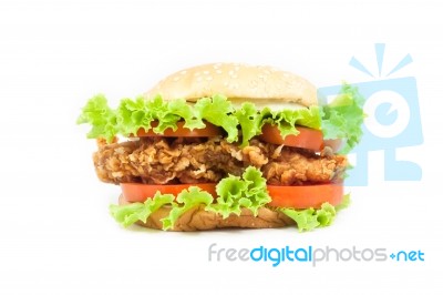 Fried Chicken Burger Stock Photo