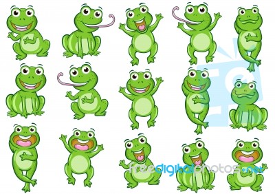 Frog Stock Image