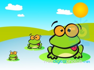 Frog Stock Image