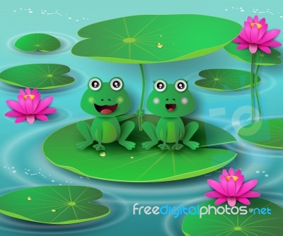 Frog In The Pond Stock Image