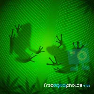 Frog Shadow On Banana Leaf In The Tropical Sun Stock Image