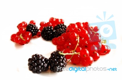 Fruit Stock Photo