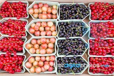 Fruit Trays With Blackberries Currants And Gooseberries Stock Photo