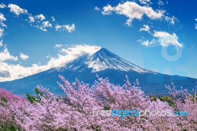 Fuji Mountain And Cherry Blossoms In Spring, Japan Stock Photo