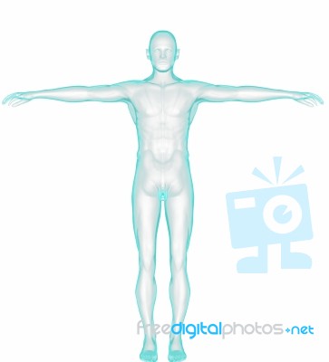 Full Body - Front View - Blue Concept, With Clipping Path Stock Image