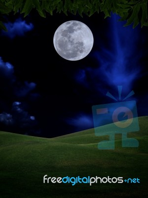 Full Moon Stock Image