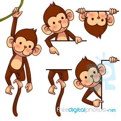 Funny Monkey Stock Image
