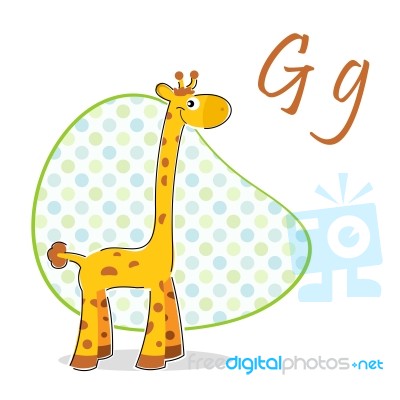 G For Giraffe Stock Image
