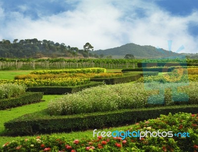 Garden In The Valley Stock Photo