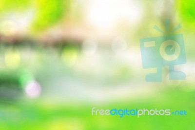 Garden With Blurred Images Stock Photo