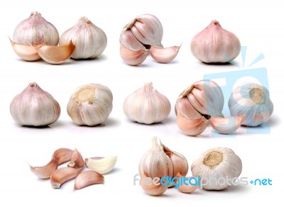 Garlic Isolated On White Background Stock Photo