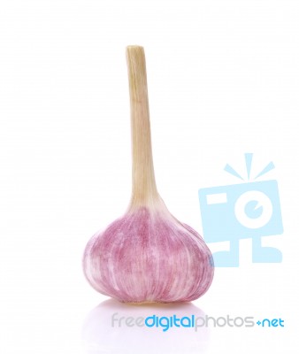 Garlic Isolated On White Background Stock Photo