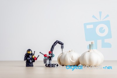 Garlic Peeling Concept Stock Photo
