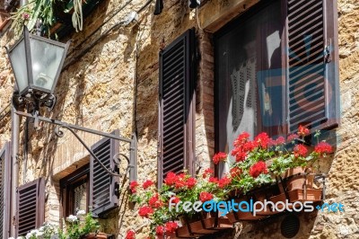 Geraniums On Display In Pienza Tuscany Stock Photo