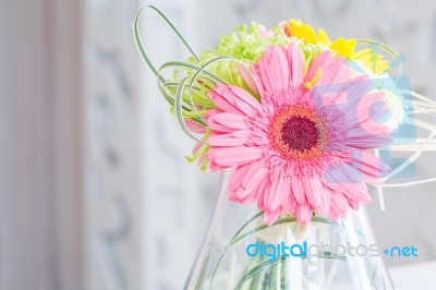 Gerbera In Jar Stock Photo