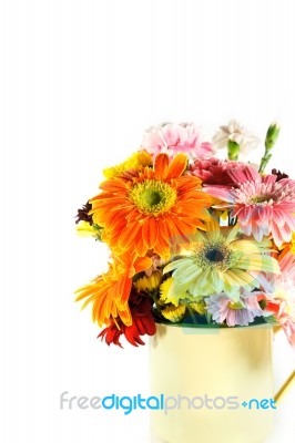Gerbera In Vase  Stock Photo