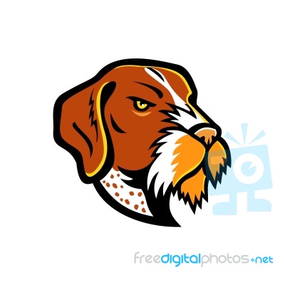German Wirehaired Pointer Mascot Stock Image