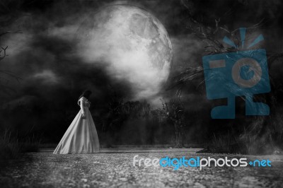 Ghost Woman In White Dress In Creepy Forest,3d Illustration Stock Image