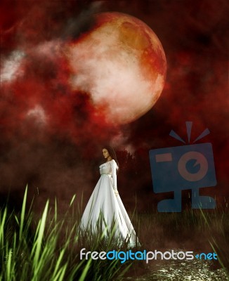 Ghost Woman In White Dress In Creepy Forest,3d Illustration Stock Image
