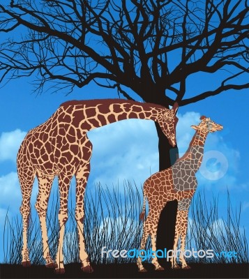 Giraffes Under The Tree Stock Image