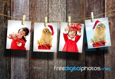 Girl And Dog Christmas Stock Photo