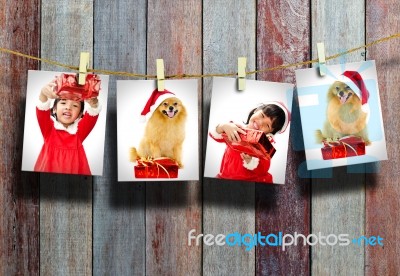 Girl And Dog Christmas Stock Photo