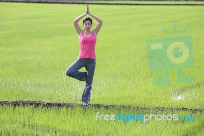 Girl Practicing Yoga In Paddy Field Stock Photo