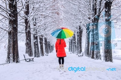 Girl With Colourful Umbrella Walking On The Path And Row Trees. Winter Stock Photo