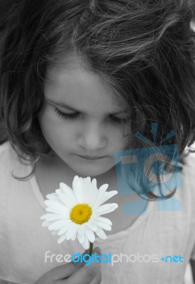 Girl With Daisy Stock Photo - Royalty Free Image ID 10067577