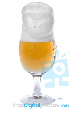 Glass Of Beer Stock Photo