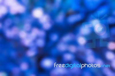 Glass Plate Dimension Texture Style Pastel Purple White On Fresh… Stock Photo