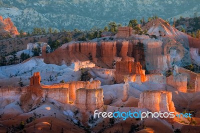 Glowing Hoodoos In Bryce Canyon Stock Photo