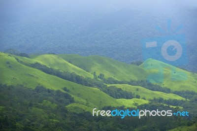 Go Green Stock Photo