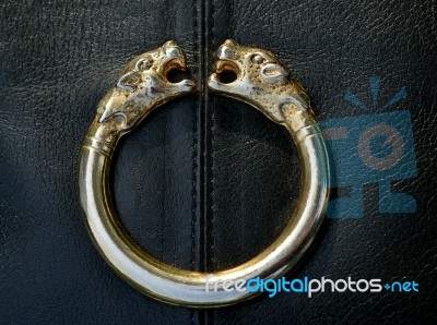 Gold Buckle Stock Photo