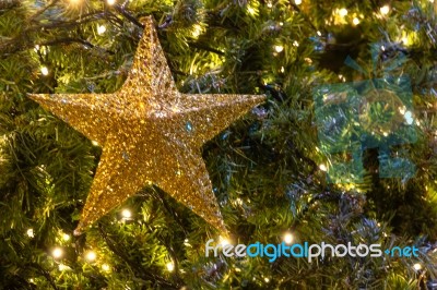 Golden Decoration Light In Shape Of Star On Christmas Pine Tree Stock Photo