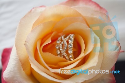 Golden Ring With Diamonds And Yellow Rose Stock Photo