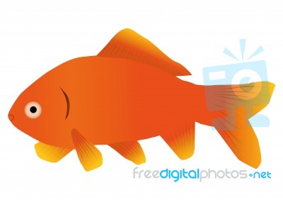 Goldfish Stock Image