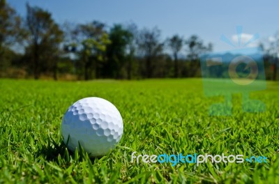Golf Ball Stock Photo