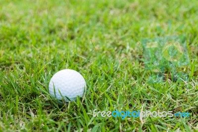 Golf Ball In The Rough Stock Photo