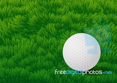 Golf Ball On Grass Field Background- Illustration Stock Image