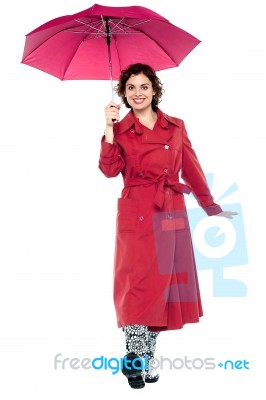 Gorgeous Lady With Umbrella Walking Towards You Stock Photo