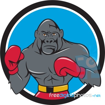 Gorilla Boxer Boxing Stance Circle Cartoon Stock Image