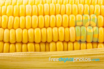 Grains Of Ripe Corn Stock Photo
