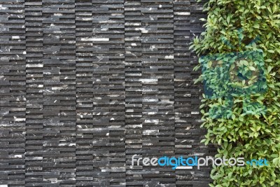 Granite Tile Wall And Green Leaf Stock Photo