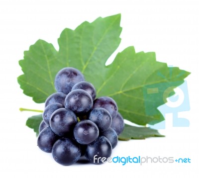 Grape With Leaf Isolated On The White Background Stock Photo