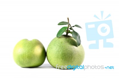 Grapefruit Stock Photo