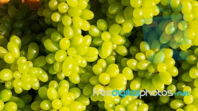 Grapes Stock Photo