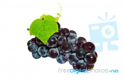 Grapes Isolated On White Background Stock Photo